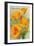 California State Flower - the Californian - Poppy Flowers-Lantern Press-Framed Art Print