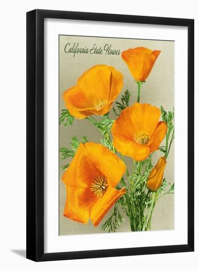 California State Flower - the Californian - Poppy Flowers-Lantern Press-Framed Art Print