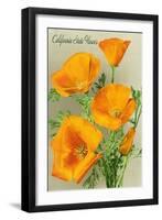 California State Flower - the Californian - Poppy Flowers-Lantern Press-Framed Art Print