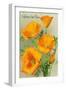 California State Flower - the Californian - Poppy Flowers-Lantern Press-Framed Art Print