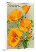 California State Flower - the Californian - Poppy Flowers-Lantern Press-Framed Art Print