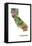 California State Map 1-Marlene Watson-Framed Stretched Canvas