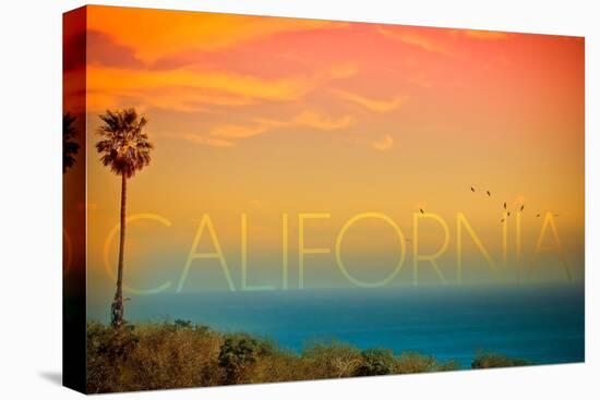 California - Sunset and Bird-Lantern Press-Stretched Canvas