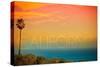 California - Sunset and Bird-Lantern Press-Stretched Canvas