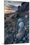 California. Sunset on the Emerging Rocks at Bowling Ball Beach, Schooner Gulch State Beach-Judith Zimmerman-Mounted Premium Photographic Print