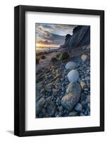 California. Sunset on the Emerging Rocks at Bowling Ball Beach, Schooner Gulch State Beach-Judith Zimmerman-Framed Photographic Print