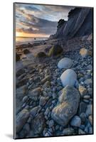 California. Sunset on the Emerging Rocks at Bowling Ball Beach, Schooner Gulch State Beach-Judith Zimmerman-Mounted Photographic Print