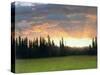 California Sunset-Albert Bierstadt-Stretched Canvas