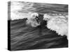 California Surfer-null-Stretched Canvas