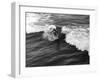 California Surfer-null-Framed Photographic Print