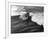 California Surfer-null-Framed Photographic Print