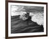 California Surfer-null-Framed Photographic Print