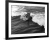 California Surfer-null-Framed Photographic Print