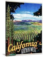 California - The Golden West-null-Stretched Canvas