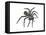 California Trapdoor Spider (Bothriocyrtum Californicum), Arachnids-Encyclopaedia Britannica-Framed Stretched Canvas