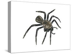 California Trapdoor Spider (Bothriocyrtum Californicum), Arachnids-Encyclopaedia Britannica-Stretched Canvas