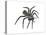 California Trapdoor Spider (Bothriocyrtum Californicum), Arachnids-Encyclopaedia Britannica-Stretched Canvas