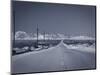 California, Twentynine Palms, Amboy Road, Mojave Desert, USA-Walter Bibikow-Mounted Photographic Print