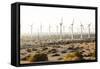 California, USA: A Huge Onshore Wind Farm Near Palm Springs / Desert Hot Springs-Axel Brunst-Framed Stretched Canvas