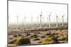 California, USA: A Huge Onshore Wind Farm Near Palm Springs / Desert Hot Springs-Axel Brunst-Mounted Photographic Print