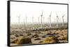 California, USA: A Huge Onshore Wind Farm Near Palm Springs / Desert Hot Springs-Axel Brunst-Framed Stretched Canvas