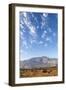 California, USA: A Huge Onshore Wind Farm Near Palm Springs / Desert Hot Springs-Axel Brunst-Framed Photographic Print