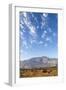 California, USA: A Huge Onshore Wind Farm Near Palm Springs / Desert Hot Springs-Axel Brunst-Framed Photographic Print