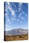 California, USA: A Huge Onshore Wind Farm Near Palm Springs / Desert Hot Springs-Axel Brunst-Stretched Canvas