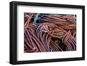 California, USA, Crescent City, Crescent City Marina-Joe Restuccia III-Framed Photographic Print