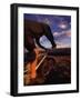 California, USA-null-Framed Photographic Print