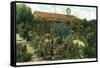 California - View of a Californian Rose Garden-Lantern Press-Framed Stretched Canvas