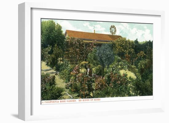 California - View of a Californian Rose Garden-Lantern Press-Framed Art Print