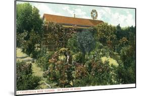 California - View of a Californian Rose Garden-Lantern Press-Mounted Art Print