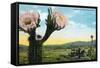 California - View of a Flowering Cactus-Lantern Press-Framed Stretched Canvas