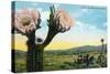 California - View of a Flowering Cactus-Lantern Press-Stretched Canvas