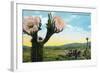 California - View of a Flowering Cactus-Lantern Press-Framed Art Print