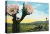 California - View of a Flowering Cactus-Lantern Press-Stretched Canvas