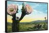 California - View of a Flowering Cactus-Lantern Press-Framed Stretched Canvas