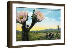 California - View of a Flowering Cactus-Lantern Press-Framed Art Print