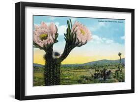 California - View of a Flowering Cactus-Lantern Press-Framed Art Print