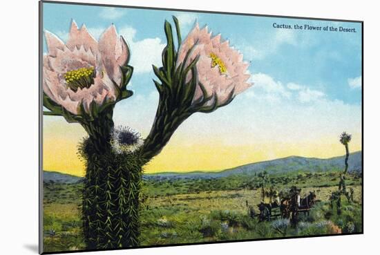 California - View of a Flowering Cactus-Lantern Press-Mounted Art Print