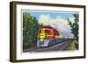 California - View of a Santa Fe Train Passing Through Orange Groves-Lantern Press-Framed Art Print