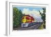 California - View of a Santa Fe Train Passing Through Orange Groves-Lantern Press-Framed Art Print