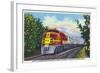 California - View of a Santa Fe Train Passing Through Orange Groves-Lantern Press-Framed Art Print