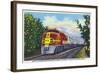 California - View of a Santa Fe Train Passing Through Orange Groves-Lantern Press-Framed Art Print