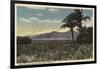 California - View of Dates Growing near the Salton Sea-Lantern Press-Framed Art Print