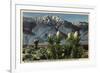 California - View of Mt. San Jacinto, Yucca Mohavensis Cactus-Lantern Press-Framed Premium Giclee Print