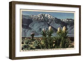 California - View of Mt. San Jacinto, Yucca Mohavensis Cactus-Lantern Press-Framed Art Print