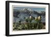 California - View of Mt. San Jacinto, Yucca Mohavensis Cactus-Lantern Press-Framed Art Print