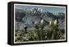 California - View of Mt. San Jacinto, Yucca Mohavensis Cactus-Lantern Press-Framed Stretched Canvas